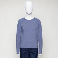Langarm Raglangshirt gestreift