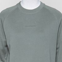 Sweat Raglan desert sage