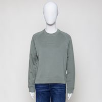 Sweat Raglan desert sage