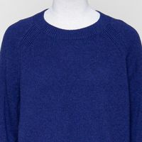 Diliriaa reglana blue noon