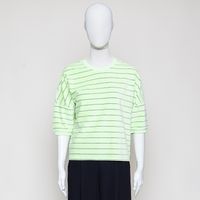 Smila Shortsleeve Jersey Velour Striped grün gestreift