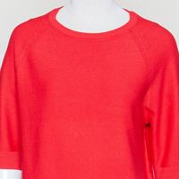 Organic DfC Pullover relaxed rot