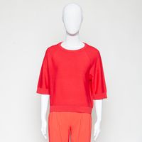 Organic DfC Pullover relaxed rot